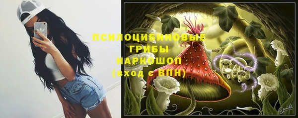 СК Арсеньев
