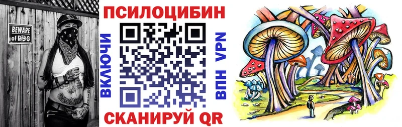 Псилоцибиновые грибы мухоморы  наркотики  Салехард 