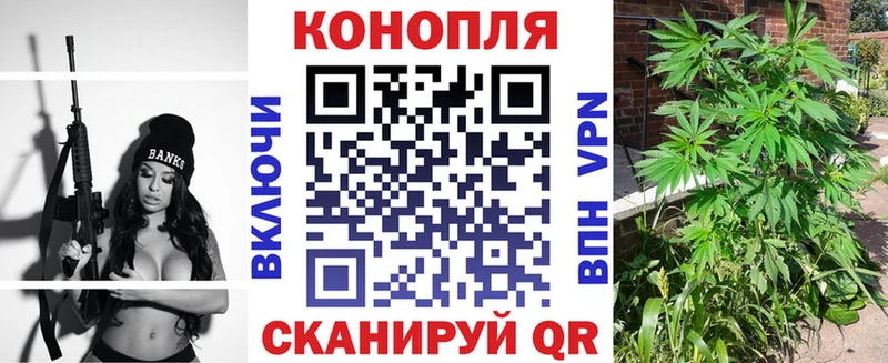 Бошки Шишки Amnesia  Салехард 